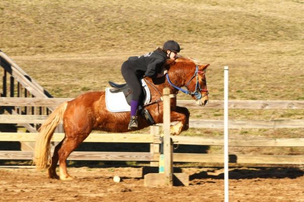 22082_272352126224417_1025212814_n