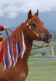 234539093065134720_0x1cd5eD_b