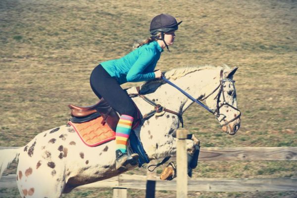 296832_272351389557824_836379808_n