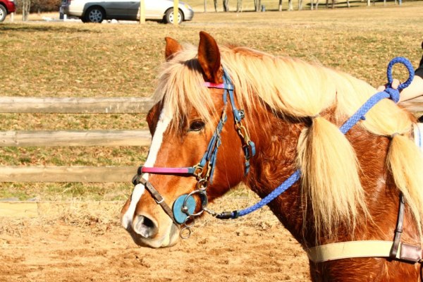 582463_272351909557772_744828174_n