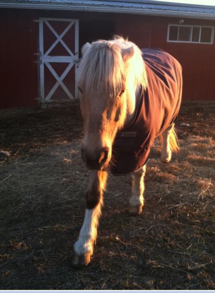 He demands my attention first.  