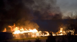 Rich Cooley/Daily http://www.nvdaily.com