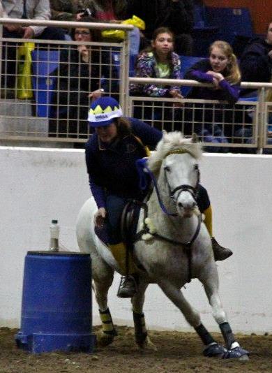 Linda - BottlePhoto: McKayla EquiStar Photography