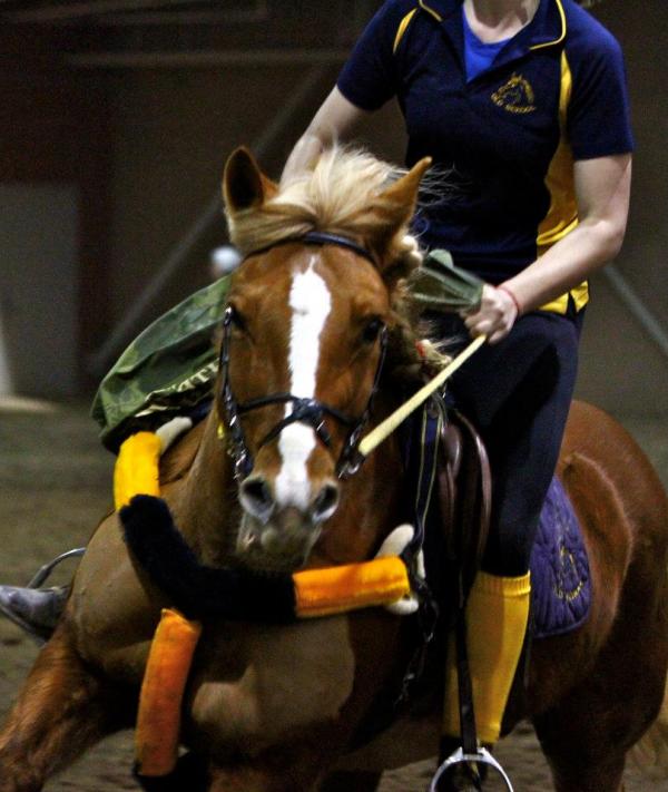 I love this photo of MilliPhoto: McKayla EquiStar Photography