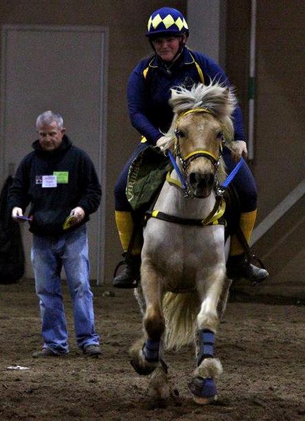 Photo: McKayla EquiStar Photography