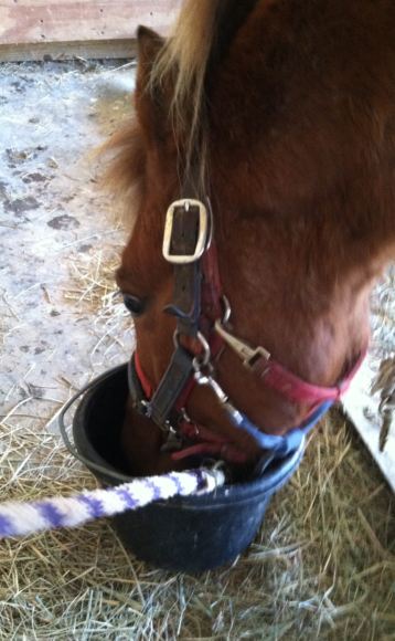 Reward - you get grain!