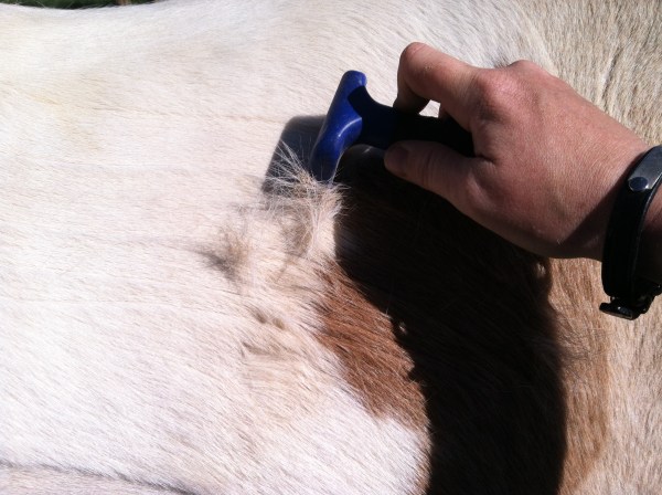 2013-05-01 16.44.14 - Copy