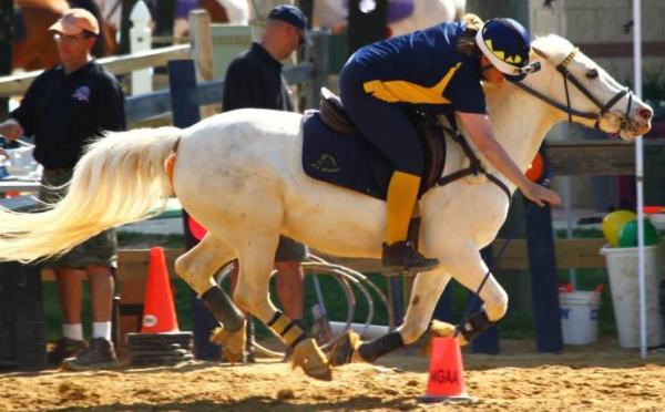 943595_543240169062013_682787033_n