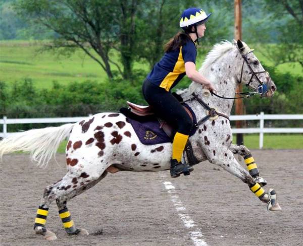 Genevieve and Ruben Photo: Equistar Photography