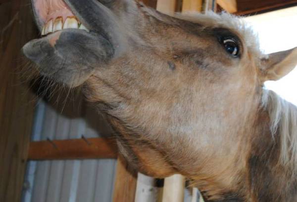 425271_10151949863717564_1297153510_n