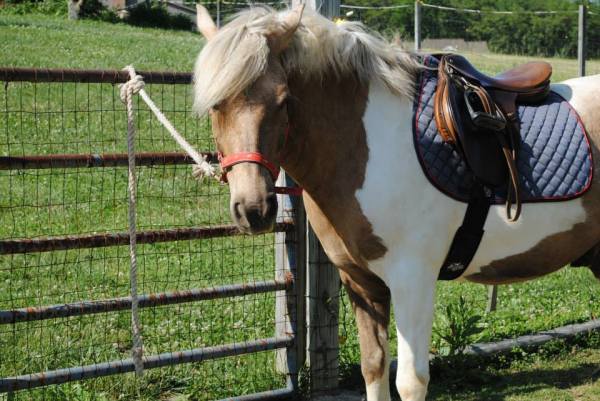 487292_10151949859372564_2141094631_n