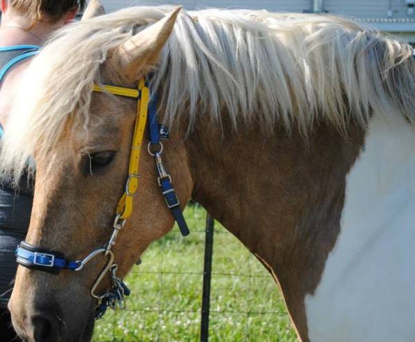 5955_10151949863037564_989999859_n