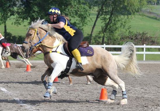 Photo: Equistar Photography