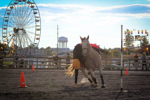 1185367_604931069559589_77687673_n