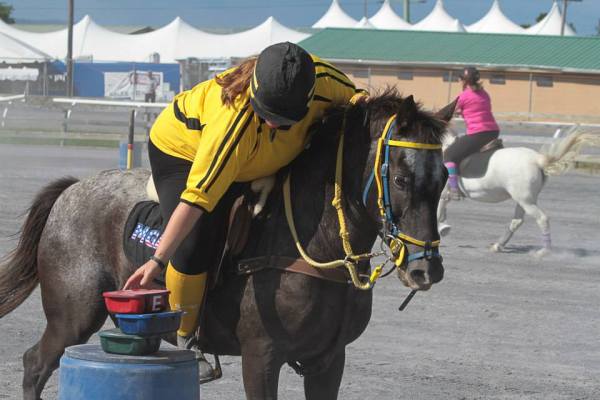 1237830_604929779559718_1676609901_n