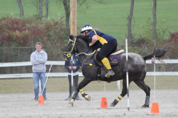 1236192_612521298800566_714458700_n