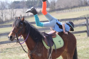 10150707_488092341317060_786618815_n