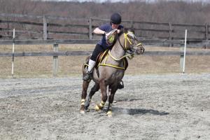 10150771_488091411317153_849670579_n