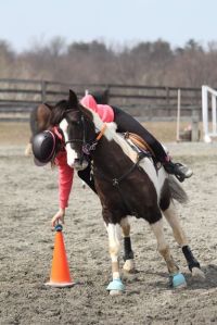 10152040_488095677983393_638272378_n