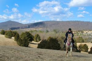 1470164_484792354980392_1648199849_n