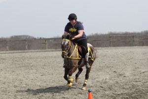 1525124_488095497983411_2053017699_n