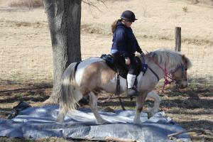 1800258_484982371628057_1984144446_n