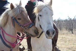 1920342_484979718294989_1920502597_n