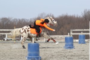 1922460_488096681316626_1794561145_n