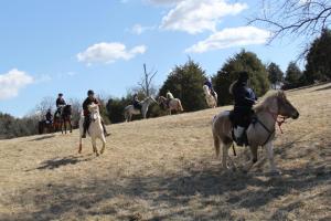 1964945_484981404961487_711666048_n