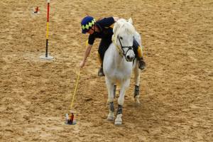 1526509_506564296136531_4305056655452567546_n