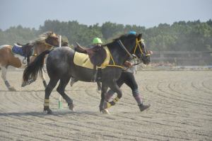 10649673_645820332199829_4630989732830963142_n