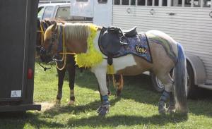 10704164_10152736382454289_8938094559206225882_n