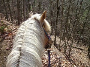 SANYO DIGITAL CAMERA