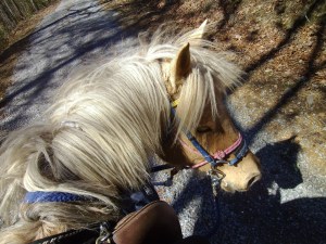 SANYO DIGITAL CAMERA