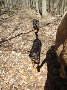 ????????????????????