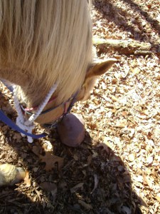 ????????????????????