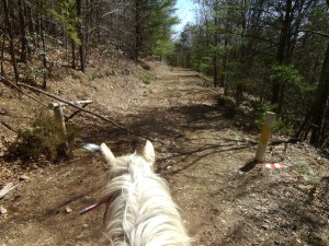 SANYO DIGITAL CAMERA