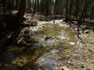 SANYO DIGITAL CAMERA