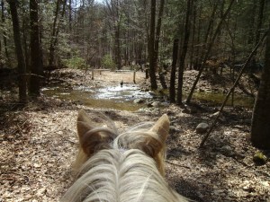 SANYO DIGITAL CAMERA