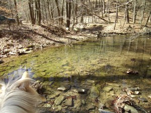 SANYO DIGITAL CAMERA