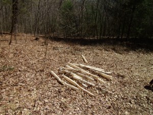 SANYO DIGITAL CAMERA