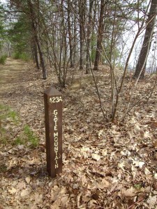 ????????????????????