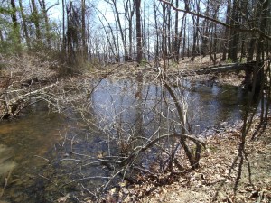 SANYO DIGITAL CAMERA