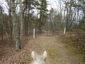 SANYO DIGITAL CAMERA