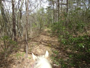 SANYO DIGITAL CAMERA