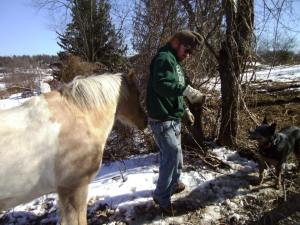 13688_10153160115734289_2249419924213605083_n