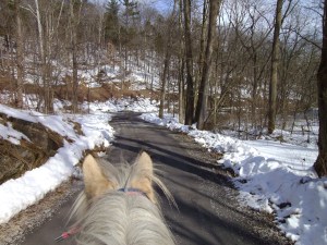 SANYO DIGITAL CAMERA