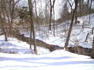 SANYO DIGITAL CAMERA