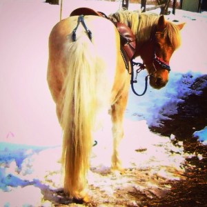 SANYO DIGITAL CAMERA