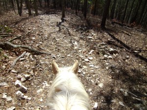 SANYO DIGITAL CAMERA